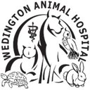 Wedington Animal Hospital company logo