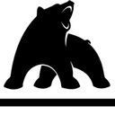 BEAR EXPRESS LLC company logo