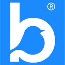 Bluebird Care Clare company logo