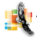 American Spirit Corporation company logo