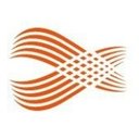 DongIT company logo