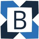 Boa Service Nederland company logo