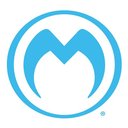 Medallion Instrumentation Systems company logo