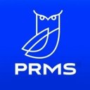 Professional risk management AG company logo