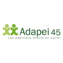 Adapei 45 company logo