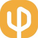 Young Perfect company logo