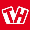 Türk+Hillinger GmbH company logo