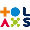 Local Solutions company logo