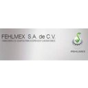 FEHLMEX SA DE CV company logo