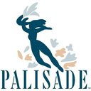 Palisade company logo