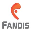 Fandis S.A de C.V company logo