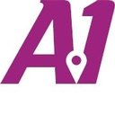 A-1 LIMOUSINE INC company logo