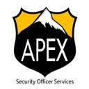 Apex Security and Convention Services INC company logo