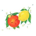 LGO Hospitality company logo