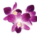 TruCare Community company logo