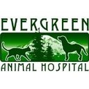 Evergreen Animal Hospital company logo