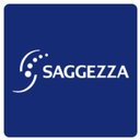Saggezza India Pvt. Ltd company logo