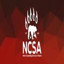 Native Counselling Services of Alberta company logo