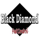 Black Diamond of Indy, Inc. company logo
