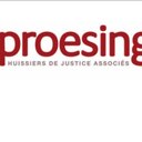 SELAS PROESING company logo