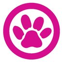 Lynx (Central Florida Regional Transportation Authority) company logo