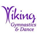 Viking Gymnastics company logo