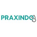 Praxindo GmbH company logo