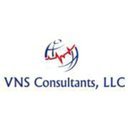 VNS Consultants, LLC company logo