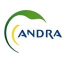 ANDRA company logo