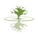 DIAMOND HEAD CONSULTING company logo