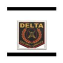 Delta Security Services company logo