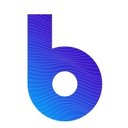 Bounteous company logo