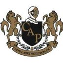 CAPITAL ASSET PROTECTION INC company logo