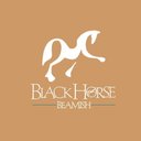 Black Horse Beamish company logo