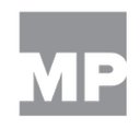 MP Solutions company logo
