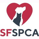 SAN FRANCISCO SPCA company logo