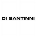 DI SANTINNI company logo