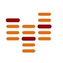 saxess company logo