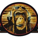 THE FLYING MONKEY GRILL & Bar, LLC company logo