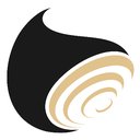 Tapeso company logo