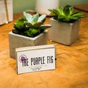 The Purple Fig Eco Cleaning Co company logo