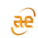 AE Security Group B.V. company logo