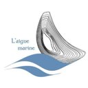 Aigue Marine company logo