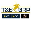 T&amp;S GRP UG (haftungsbeschänkt) company logo
