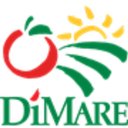 DiMare Fresh, Inc. company logo