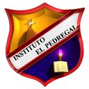 INSTITUTO EL PEDREGAL company logo