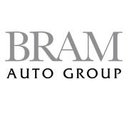 BRAM Auto Group company logo