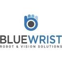 Bluewrist company logo