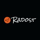 Radost Solutions LLC company logo