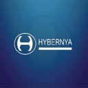 HYBERNYA INDUSTRIAL SA DE CV company logo